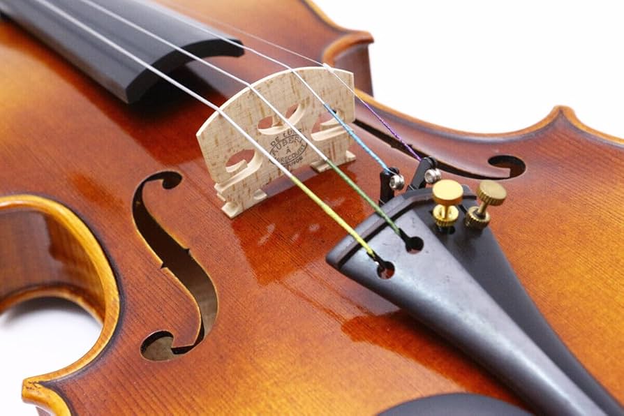 フルサイズのバイオリン Amazon | WUQIMUSC プロフェッショナルバイオリン 4/4 フル